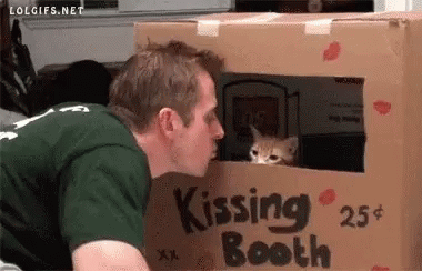 A Man Is Kissing A Cat In A Kissing Booth . GIF