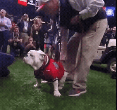 A Man Is Kneeling Down Next To A Dog Wearing A Red Shirt On A Field . GIF