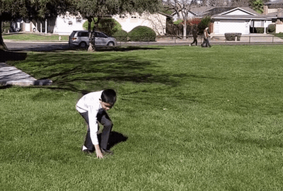 A Man Is Kneeling On The Grass In A Park While A Woman Walks By . GIF