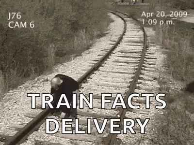 A Man Is Kneeling On Train Tracks With The Words Train Facts Delivery Written On The Bottom . GIF