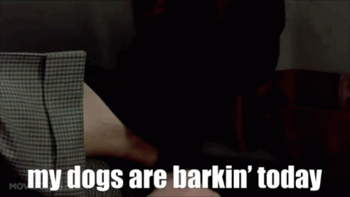 A Man Is Laying Down With The Words " My Dogs Are Barkin ' Today " GIF