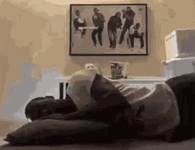 A Man Is Laying On A Bed With A Pillow And A Picture On The Wall Behind Him . GIF
