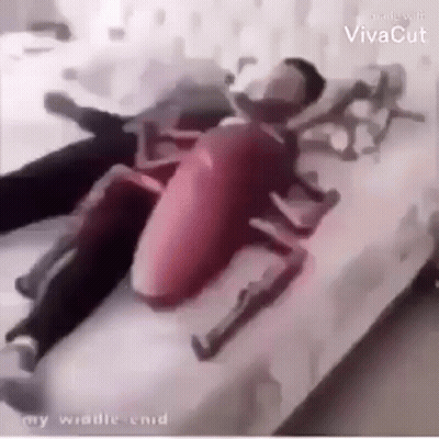 A Man Is Laying On A Bed With A Stuffed Cockroach On Top Of Him . GIF
