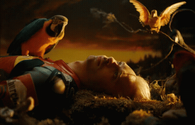 A Man Is Laying On The Ground With A Parrot On His Head And Another Parrot On A Branch GIF