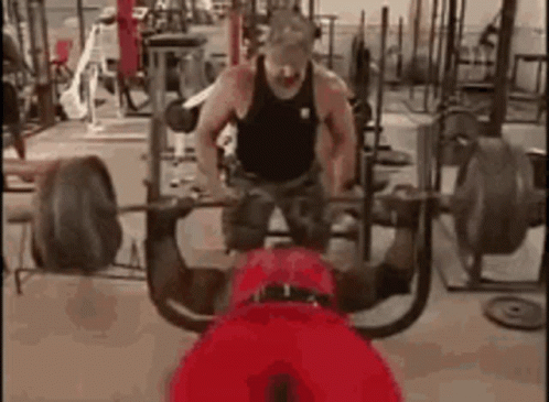A Man Is Lifting A Barbell In A Gym While Sitting On A Bench . GIF