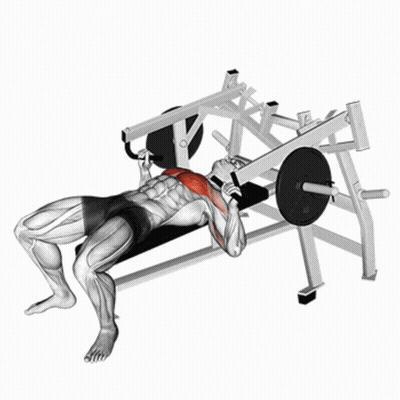 A Man Is Lifting Weights On A Bench With A Barbell GIF
