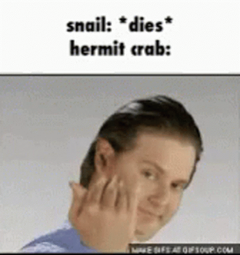 A Man Is Making A Funny Face With The Words Snail Dies Hermit Crab Written Above Him . GIF