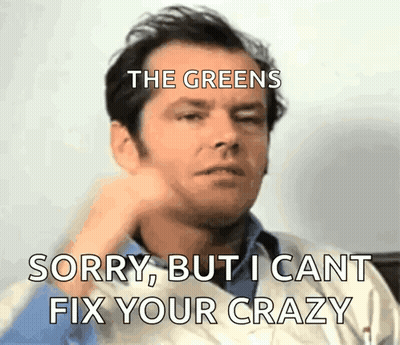 A Man Is Making A Funny Face With The Words " The Greens Sorry But I Cant Fix Your Crazy " Above Him GIF