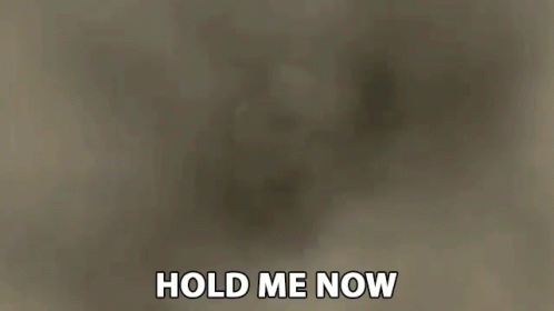 A Man Is Making A Stop Sign With His Hands And The Words `` Hold Me Now '' Written Below Him . GIF