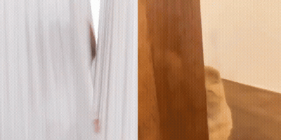 A Man Is Peeking Out From Behind A Curtain Next To A Dog . GIF