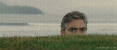 A Man Is Peeking Out Of A Grassy Field . GIF