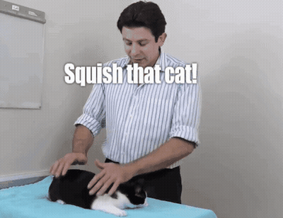 A Man Is Petting A Black And White Cat With The Words Squish That Cat GIF