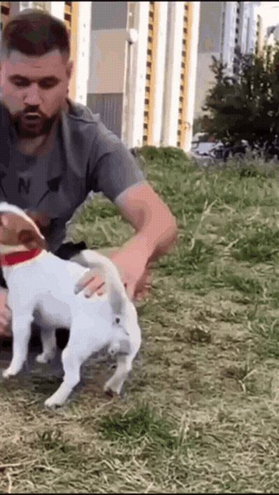 A Man Is Petting A Small White Dog In A Field GIF