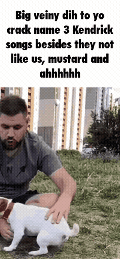 A Man Is Petting A Small White Dog In A Grassy Field .. GIF
