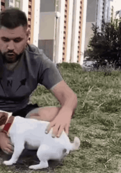 A Man Is Petting A White Dog While Sitting On The Grass . GIF