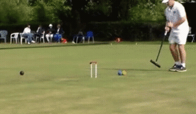 A Man Is Playing A Game Of Croquet On A Lush Green Field GIF