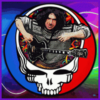 A Man Is Playing A Guitar In A Circle With A Skull In The Background GIF