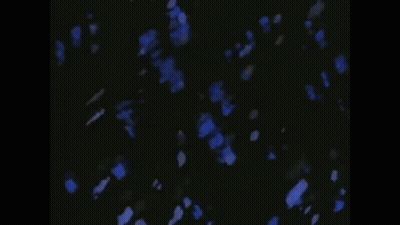 A Man Is Playing A Guitar In A Dark Room With Blue Petals Falling From The Sky . GIF