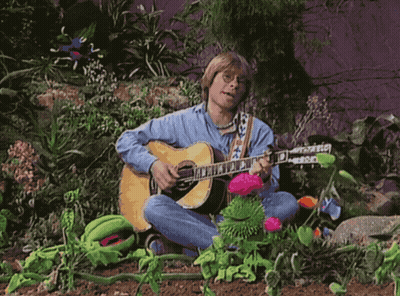 A Man Is Playing A Guitar In A Garden Surrounded By Flowers GIF