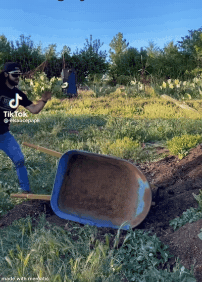 A Man Is Pushing A Wheelbarrow In A Field With A Tiktok Watermark On The Bottom GIF