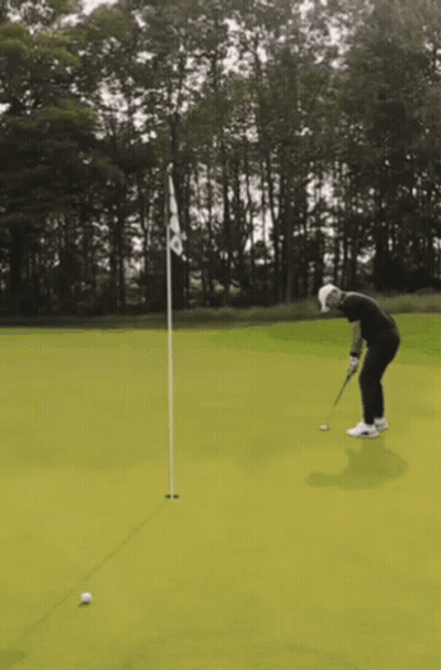 A Man Is Putting A Golf Ball On A Green With Trees In The Background GIF