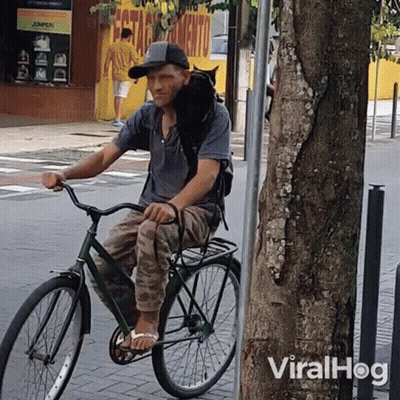 A Man Is Riding A Bike With A Cat On His Back And The Word Viralhog Is On The Bottom Right GIF