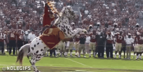 A Man Is Riding A Dalmatian Horse On A Field . GIF