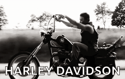 A Man Is Riding A Harley Davidson Motorcycle Down A Street . GIF