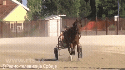 A Man Is Riding A Horse Drawn Carriage With The Website Www.rts.rs Visible In The Background GIF