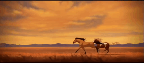 A Man Is Riding A Horse Through A Field At Sunset . GIF