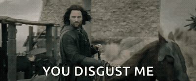 A Man Is Riding A Horse With The Words `` You Disgust Me '' Written Below Him . GIF