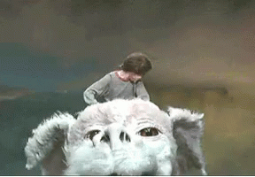 A Man Is Riding On The Back Of A Large White Dog . GIF