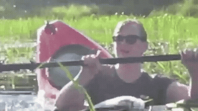A Man Is Rowing A Red Kayak In A River . GIF