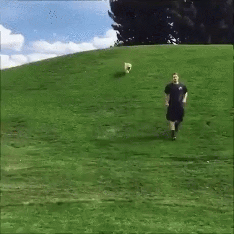 A Man Is Running Down A Hill With A Dog Behind Him GIF