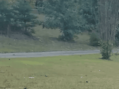 A Man Is Running Down A Path In A Park With Trees In The Background GIF