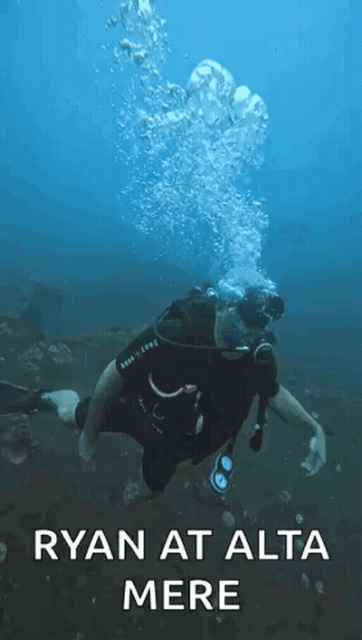 A Man Is Scuba Diving In The Ocean With The Words `` Ryan At Alta Mere '' Written Above Him . GIF