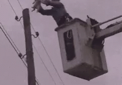 A Man Is Sitting In A Bucket On Top Of A Power Pole Holding A Bird . GIF