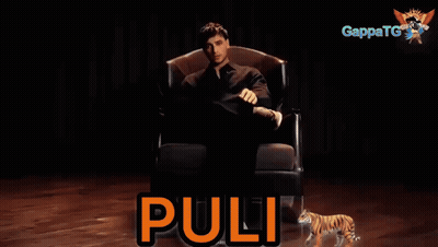 A Man Is Sitting In A Chair With A Tiger Behind Him And The Word " Pulli " In Orange GIF