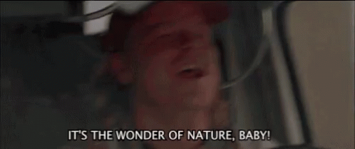 A Man Is Sitting In The Driver 'S Seat Of A Car And Screaming . GIF