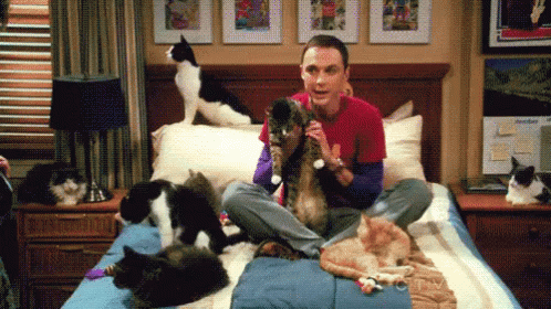 A Man Is Sitting On A Bed Surrounded By Cats And A Dog GIF