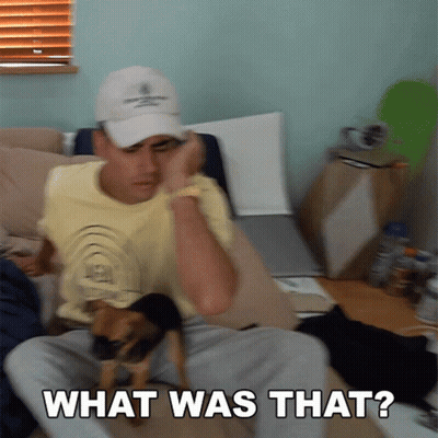 A Man Is Sitting On A Couch With A Small Dog And The Words " What Was That " Above Him GIF