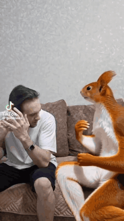 A Man Is Sitting On A Couch With A Squirrel Standing Next To Him GIF