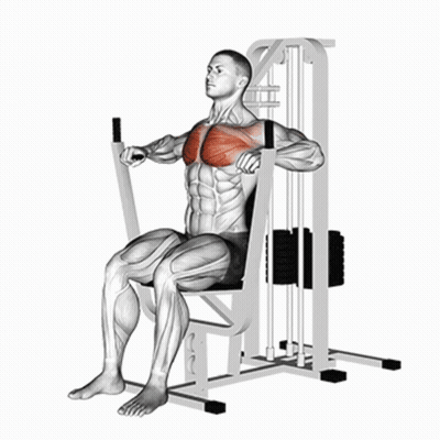 A Man Is Sitting On A Machine With Muscles Highlighted In Red GIF