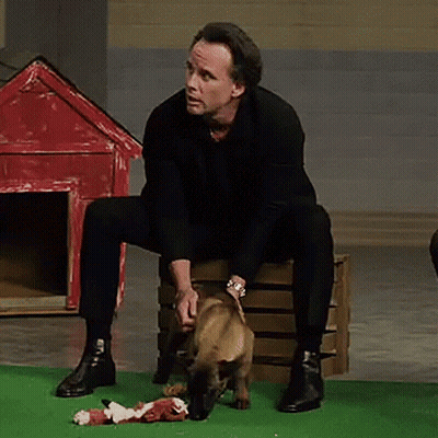 A Man Is Sitting On A Wooden Box With A Dog Looking At Him GIF