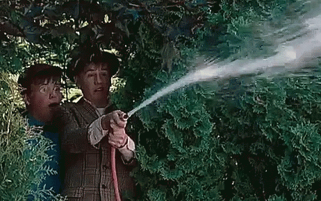 A Man Is Spraying A Tree With A Hose While Another Man Watches GIF