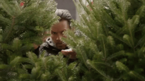 A Man Is Standing Behind A Christmas Tree . GIF