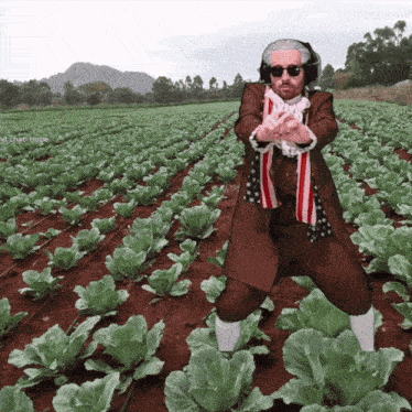 A Man Is Standing In A Field Of Lettuce Wearing Headphones And An American Flag Scarf GIF