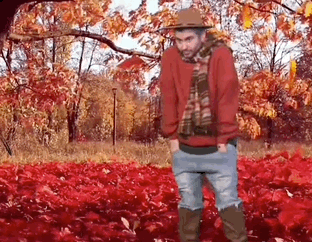 A Man Is Standing In A Field Of Red Leaves Wearing A Hat And Scarf . GIF