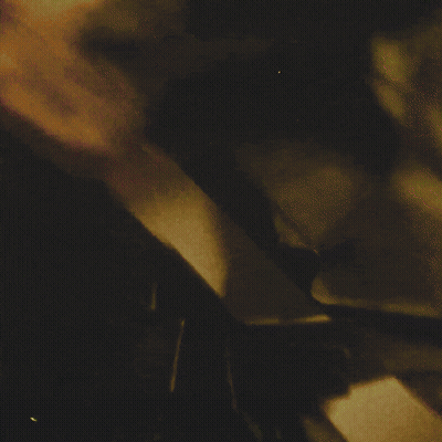 A Man Is Standing In A Jungle With Lots Of Plants GIF
