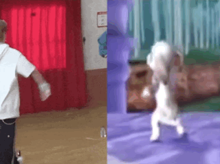 A Man Is Standing In A Room Next To A Picture Of A Cat Dancing . GIF